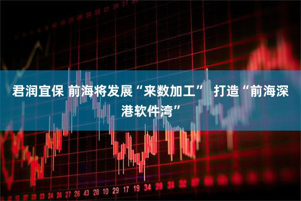 君润宜保 前海将发展“来数加工”  打造“前海深港软件湾”