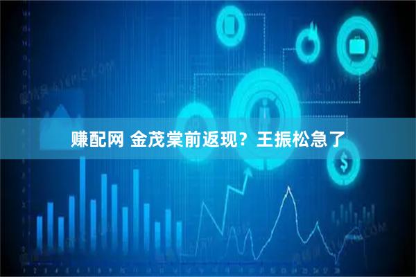 赚配网 金茂棠前返现？王振松急了
