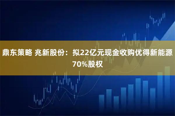 鼎东策略 兆新股份:拟22亿元现金收购优得新能源70%股权