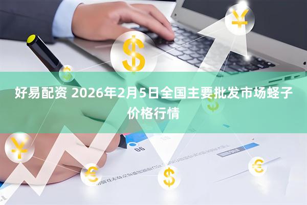 好易配资 2026年2月5日全国主要批发市场蛏子价格行情