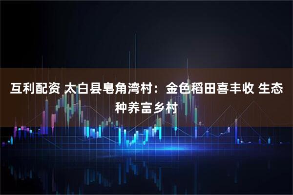 互利配资 太白县皂角湾村：金色稻田喜丰收 生态种养富乡村